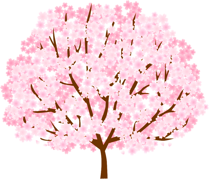 Flourishing Cherry Blossom Tree     